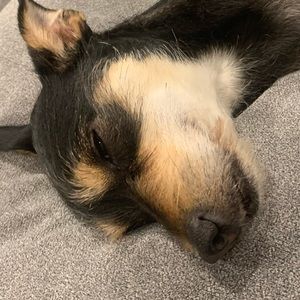 Meet your Posher, Alexys